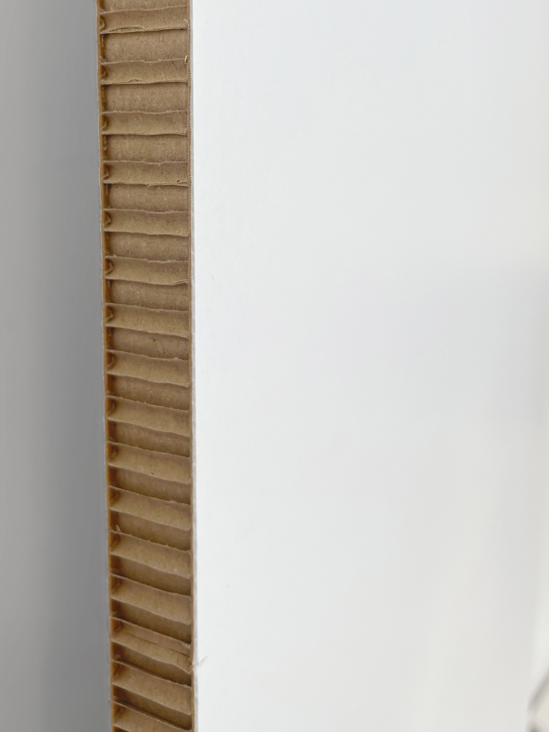 Dekowand aus Wabenplatte